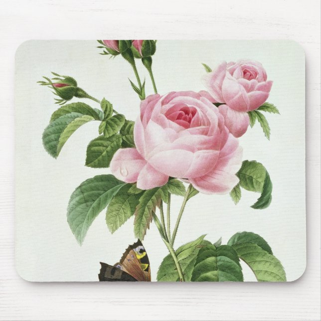 Rosa Centifolia Mouse Pad (Front)