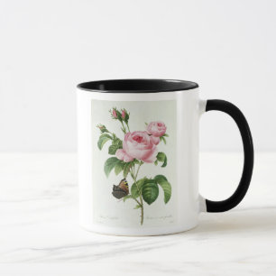 Rosa Centifolia Mug
