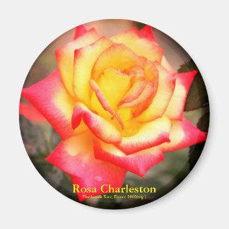 Rosa Charleston：Round Magnet