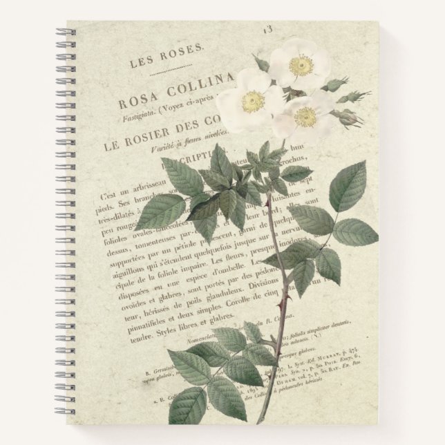 Rosa Collina Notebook (Front)