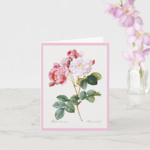 Rosa Damascena  , Happy Birthday Card