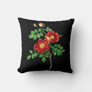 Rosa Eglanteria Throw Pillow