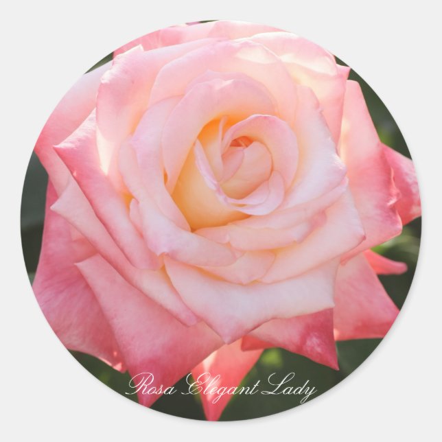 Rosa Elegant Lady Classic Round Sticker (Front)