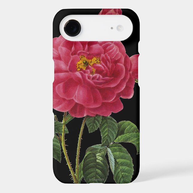 Rosa Gallica Case-Mate iPhone Case (Back)