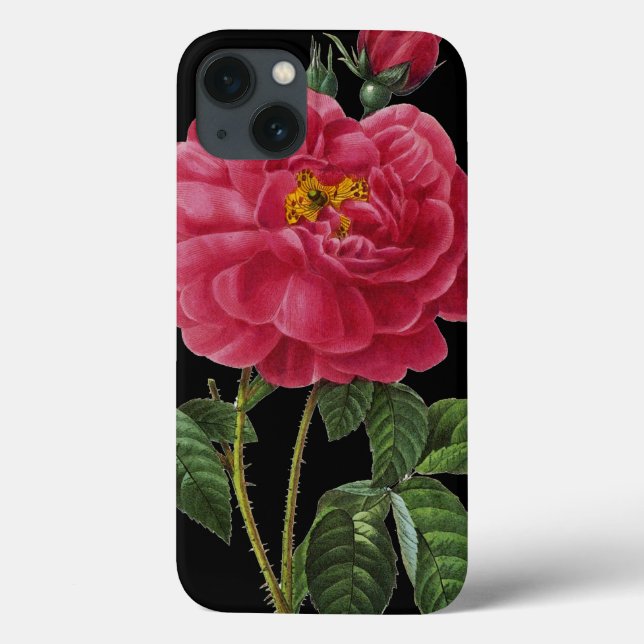 Rosa Gallica Case-Mate iPhone Case (Back)