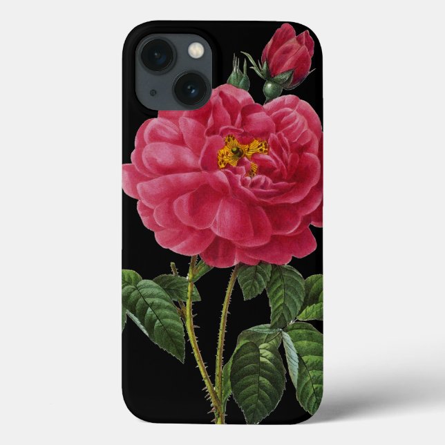 Rosa Gallica Case-Mate iPhone Case (Back)