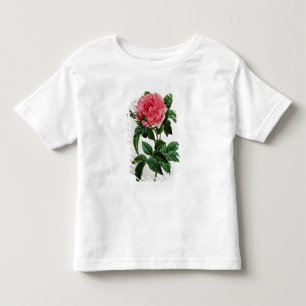 Rosa Gallica Regallis Toddler T-shirt