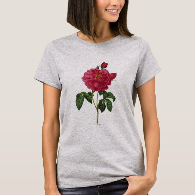 Rosa Gallica T-Shirt (Front)
