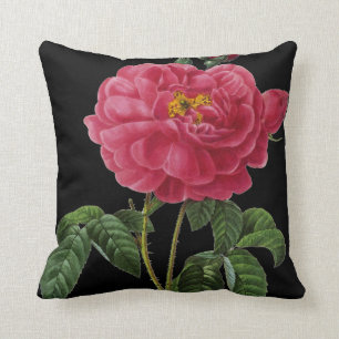 Rosa Gallica Throw Pillow