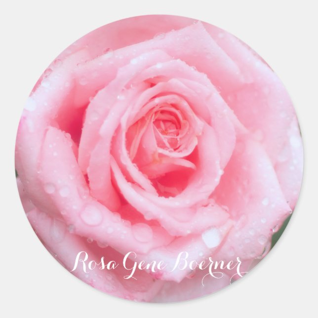 Rosa Gene Boerner [Round Seal] Classic Round Sticker (Front)