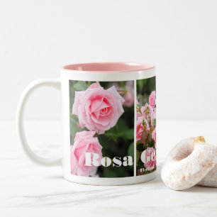 Rosa Gene Boerner:Two-tone Mug