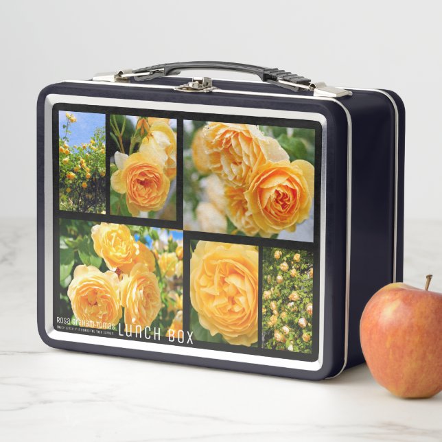 Rosa Graham Tomas Metal Lunch Box (In Situ)