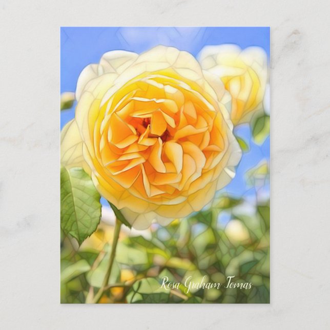 Rosa Graham Tomas [Postcard] Postcard (Front)