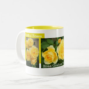 Rosa Graham Tomas：Two‐tone Mug