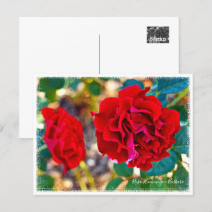Rosa Hommage a Barbara Postcard