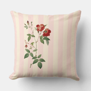 Rosa indica bande rose et beige Jeter oreiller