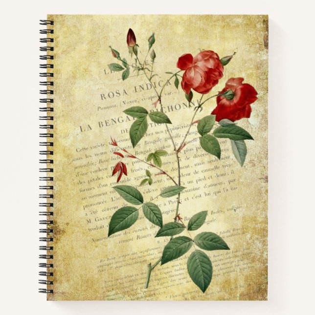 Rosa Indica Vintage-style Notebook (Front)