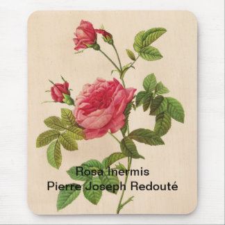 Rosa Inermis, Pierre Joseph Redouté Mouse Pad