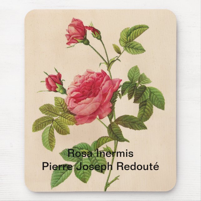 Rosa Inermis, Pierre Joseph Redouté Mouse Pad (Front)