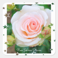 Rosa Johann Strauss [Square Seal]
