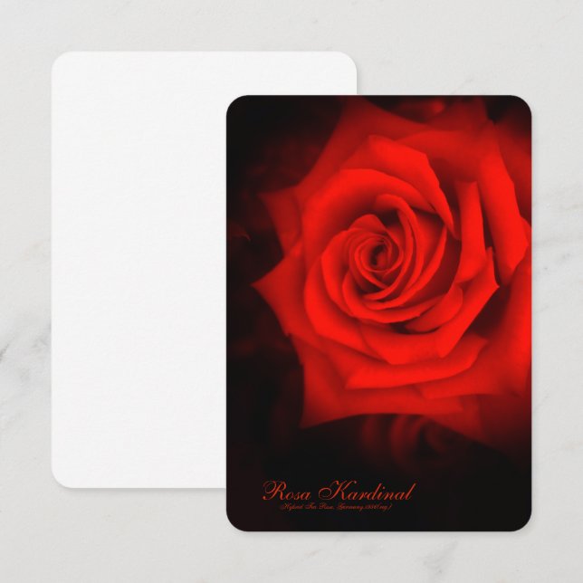 Rosa Kardinal [Flat Card] Invitation (Front/Back)