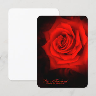 Rosa Kardinal [Flat Card] Invitation