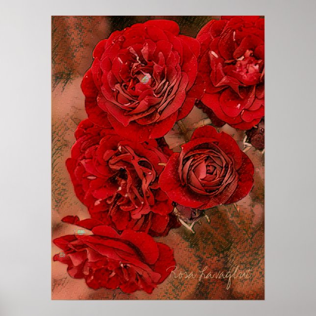 Rosa Lavaglut [Value Poster Paper] (Front)