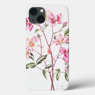 Rosa 'Mutabilis' 1996 iPhone 13 Case