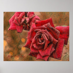 Rosa Night Time [Value Poster Paper]