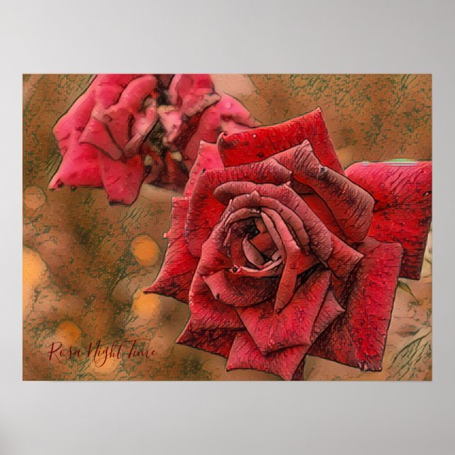 Rosa Night Time [Value Poster Paper] (Front)