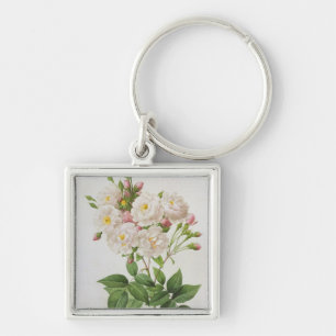 Rosa Noisettiana, from'Les Roses' Keychain