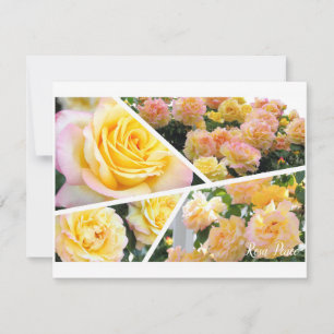 Rosa Peace [Flat Card]