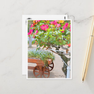 Rosa Playboy Postcard