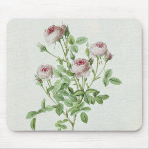 Rosa Pomponia, from 'Les Roses' Mouse Pad