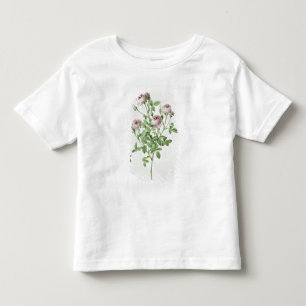 Rosa Pomponia, from 'Les Roses' Toddler T-shirt