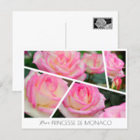 Rosa Princesse de Monaco