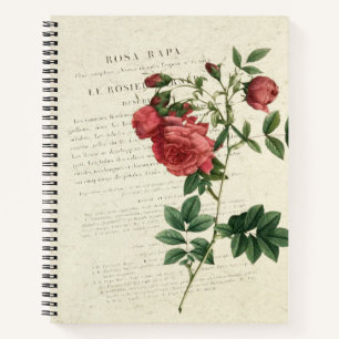 Rosa Rapa Vintage Notebook