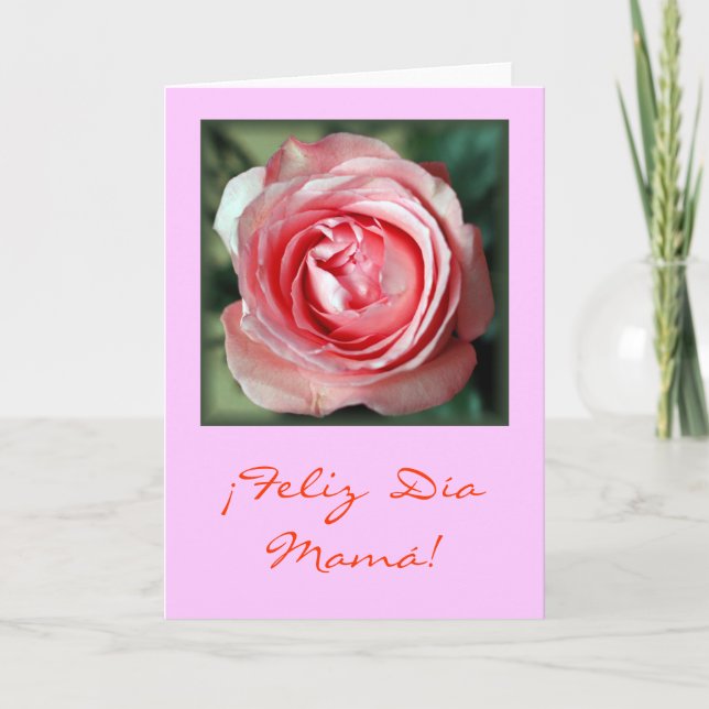 "Rosa Rosa" Card (Front)