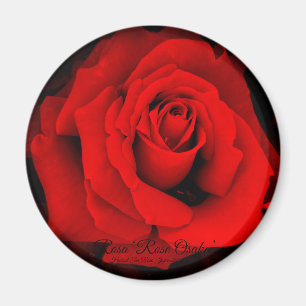 Rosa ‘Rose Osaka’ : Aimant Rond