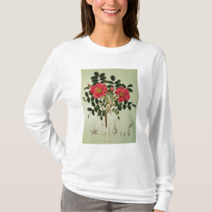 Rosa rugosa, from 'Flora Japonica' T-Shirt