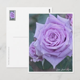 Rosa Sweet Moon Postcard