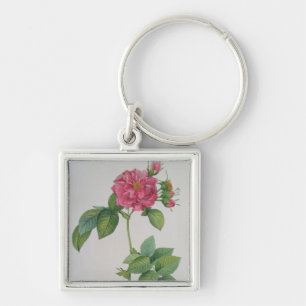 Rosa Turbinata, from ,Les Roses', Vol 1, 1817 Keychain