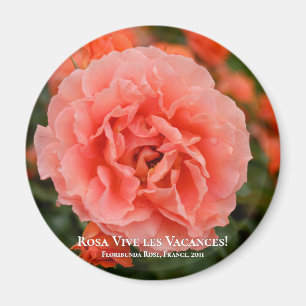 Rosa Vive les Vacances! マグネット Magnet