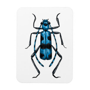 Rosalia Alpina beetle Magnet