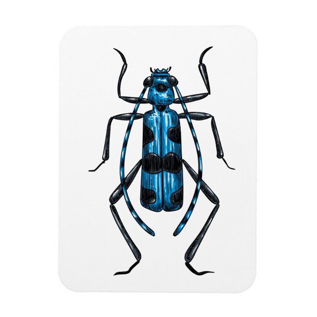 Rosalia Alpina beetle Magnet (Vertical)