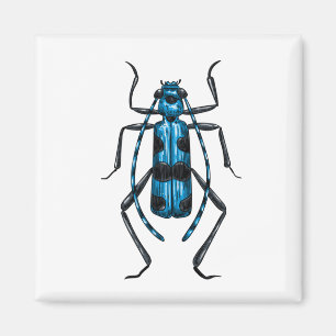 Rosalia Alpina beetle Magnet