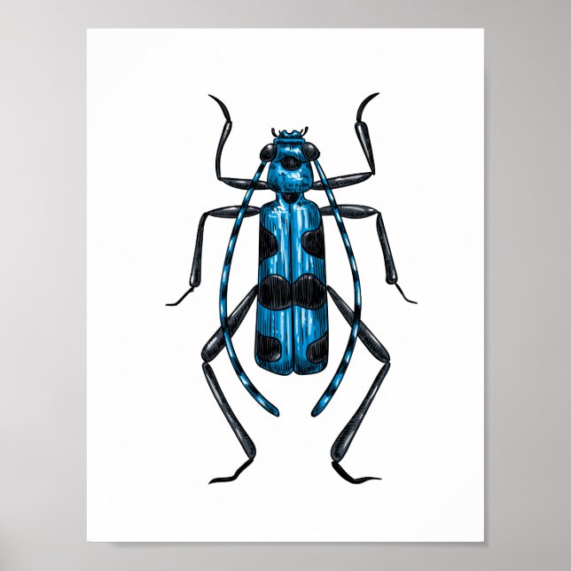 Rosalia Alpina beetle Poster (Front)