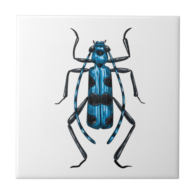 Rosalia Alpina beetle Tile (Front)