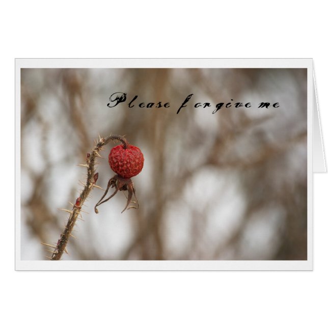 RosaOwoc, Please forgive me Card (Front Horizontal)