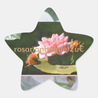 rosarïanboquet2u¤ star sticker